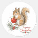 Search for christmas squirrel stickers Animal lover