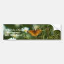 Search for daisy bumper stickers Nature