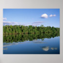 Search for amazon jungle posters Forest