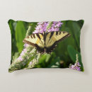Search for purple butterfly cushions Photography
