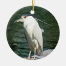 Search for herons christmas tree decorations Wildlife