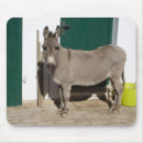 Search for mules electronics Animals