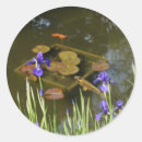 Search for koi stickers Carp