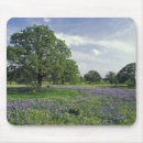 Search for midwest mousepads Nature