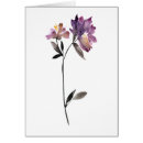 Search for deckled Botanical