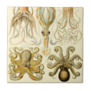 Search for vintage octopus tiles Kraken