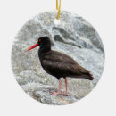 Search for sandpiper christmas tree decorations Birds