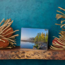 Search for danita delimont plaques Pine tree