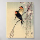 Search for swallow posters Birds