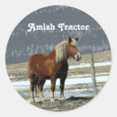 Search for belgian draft horse Farm