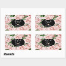 Search for big bookplates Pink