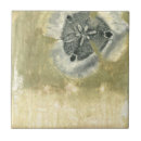 Search for texture tiles Botanical