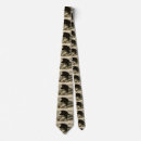 Search for bald headed eagle accessories Bird