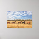 Search for aspen canvas prints Red