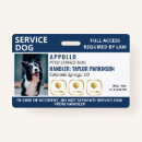 Search for autism id Service dog