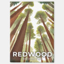 Search for redwood national park magnets Forest