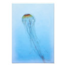 Search for watercolor jellyfish art Aquatic