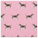 Search for treeing walker Pet