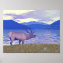 Search for wapiti posters Elk