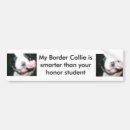 Search for border collie bumper stickers Honour
