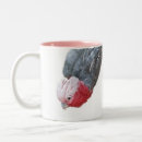 Search for cockatoo mugs Funny