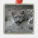 Search for four animals christmas tree decorations California