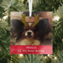 Search for hamster home decor Dog