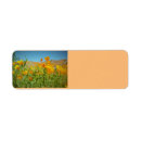 Search for poppies return address labels Flowers