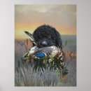 Search for barbets Pet