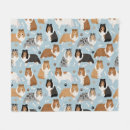 Search for shelties blankets Pet