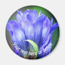 Search for flower magnets Floral