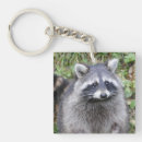Search for cute raccoon key rings Animal