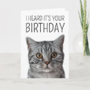 Search for british shorthair cards Kitten