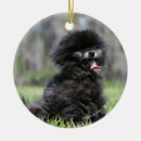 Search for black pomeranian christmas tree decorations Dwarf spitz