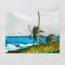 Search for vintage tropical postcards Landscape