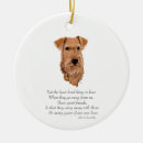 Search for irish terrier Pets