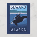Search for seward postcards Calf