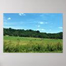 Search for hay posters Rural