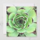 Search for succulent plant wedding invitations Garden