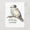 Search for jay bird postcards Grey