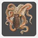 Search for octopus stickers Squid