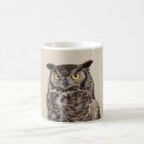 Search for great horned owls mugs Raptor