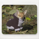 Search for tiny small mousepads Little