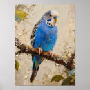 Search for budgies posters Pet