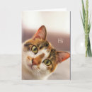 Search for cat sorry cards Pet