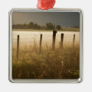 Search for fencing christmas tree decorations Barn