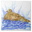 Search for mourning dove Zenaida macroura