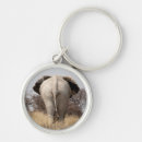 Search for animal gallery key rings Superstock