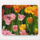 Search for spring tulips mousepads Nature