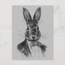 Search for animal suit postcards Rabbit